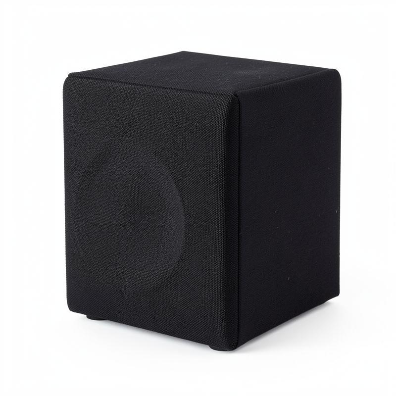 Sentra Sub 8" Wireless Subwoofer